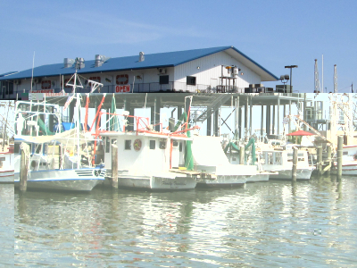 Mississippi Gulf Coast